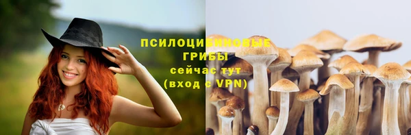 наркотики Алексин