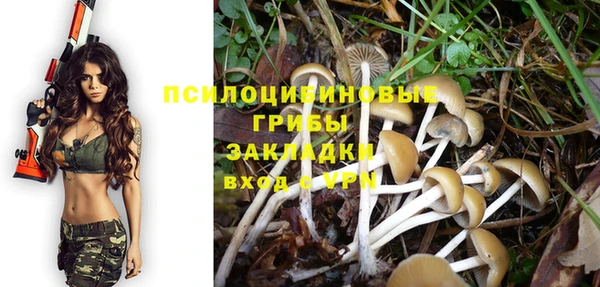 наркотики Алексин