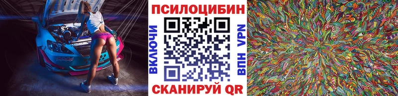 Псилоцибиновые грибы мицелий  Олонец 